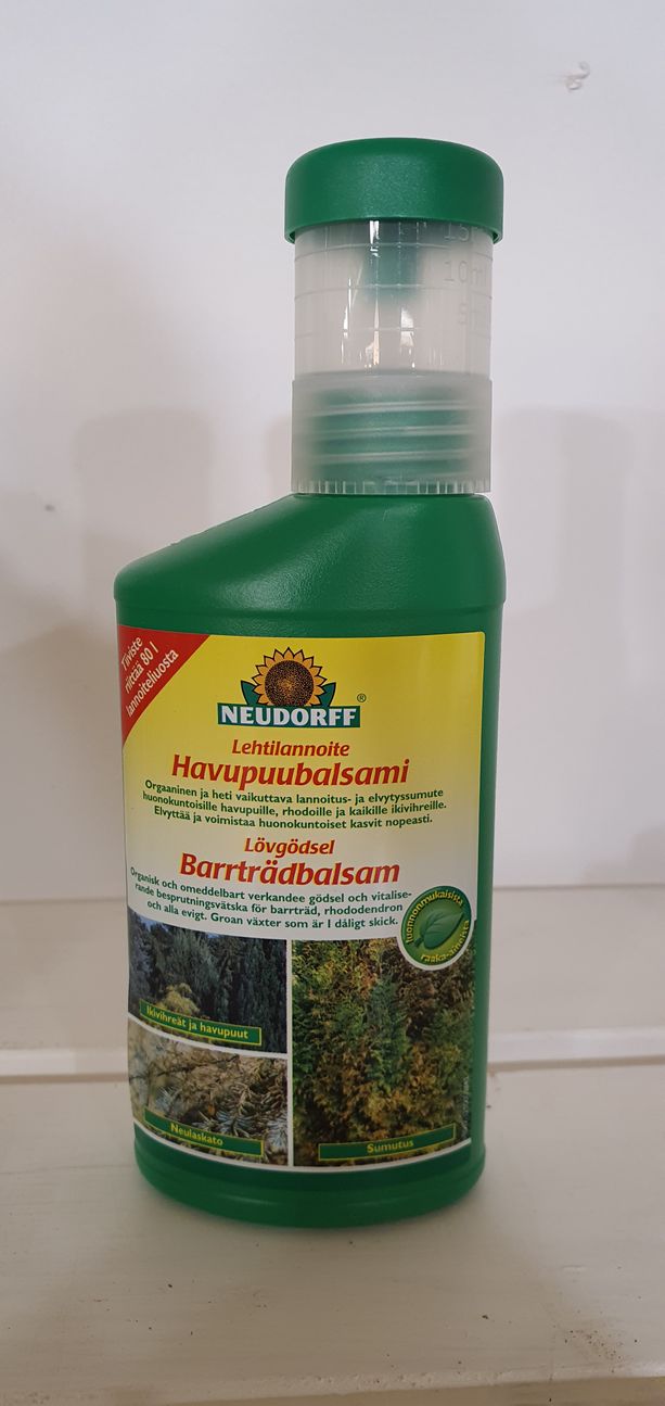Havupuubalsami